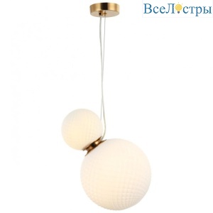 Подвесной светильник Aployt Patunia APL.301.06.02