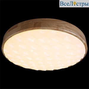 Потолочный светильник Reluce 60530-0.2-60W
