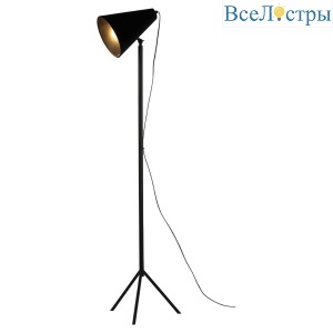 Торшер Lussole Cozy GRLSP-0563