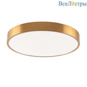 Потолочный светильник Zortes Tortty ZRS.02566.72
