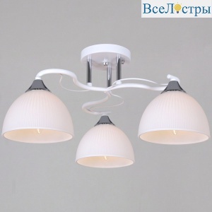 Потолочный светильник Reluce 85460-0.3-03 WH+CR
