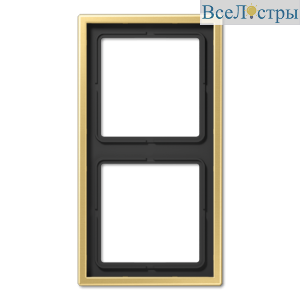 Рамка двухместная Jung ME2982C