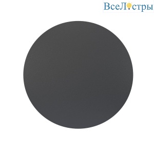 Уличный настенный светодиодный светильник Maytoni Wald O420WL-L12GF