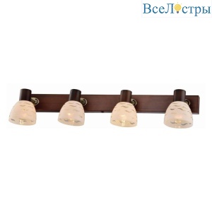 Спот Toplight Shayla TL3730Y-04BB