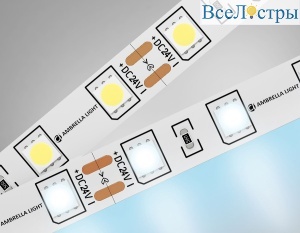 Светодиодная лента Ambrella Light Illumination 24В 5050 14,4Вт/м 6500K 5м IP20 GS4003