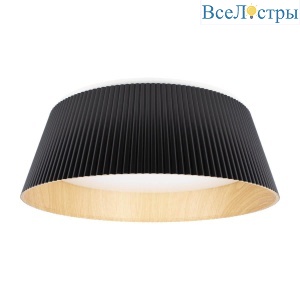 Потолочный светодиодный светильник Loft IT Evans 10224 Black