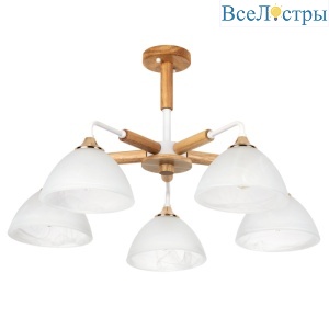 Люстра на штанге Arte Lamp Matthew A5032PL-5BR