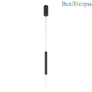 Подвесной светильник Maytoni Pro Shade MOD157PL-L6BK