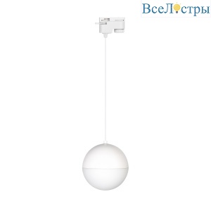 Трековый светильник Arlight LGD-Emisfero-Track-Hang-2TR-R150-11W Warm3000 035946