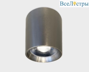Потолочный светильник влагозащищенный Italline IT014-0207 nickel