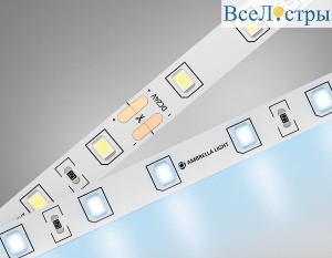 Светодиодная лента Ambrella Light LED Strip 24В 2835 6Вт/м 6500K 5м IP20 GS3003