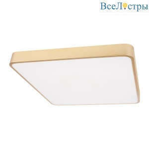 Потолочный светодиодный светильник Loft IT Flims 10228/D