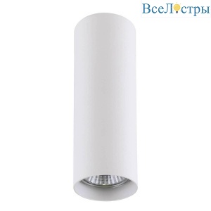 Накладной светильник Lightstar Rullo 214496