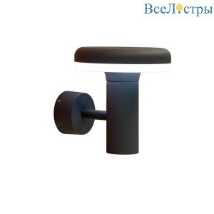 Уличный настенный светодиодный светильник Citilux CLU01W