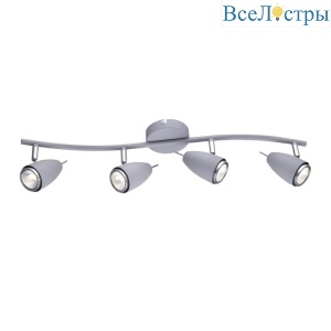 Спот Arte Lamp Regista A1966PL-4GY
