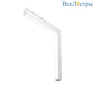 Трековый магнитный светильник Maytoni Basis TR102-24W-DS-W