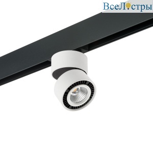 Трековый светодиодный светильник Lightstar Forte Muro (595061+213816) PRO213816