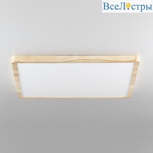 Потолочный светильник Citilux Бейсик CL738K502V