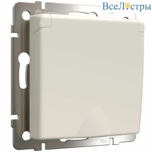 Розетка с заземлением и шторками c крышкой Werkel 4690389213175 W1171262