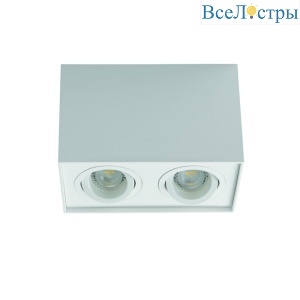 Накладной светильник Kanlux Gord DLP 250-W 25473