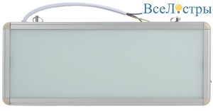 Аварийный светильник Эра SSA-101-0-20 Б0044387