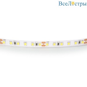 Светодиодная лента Lightstar 12W/m 120LED/m холодный белый 5M 420805