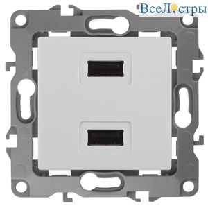 Розетка USB Эра 12-4110-01 Б0027491