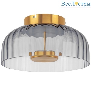 Потолочный светодиодный светильник Lightstar Celesta 809061
