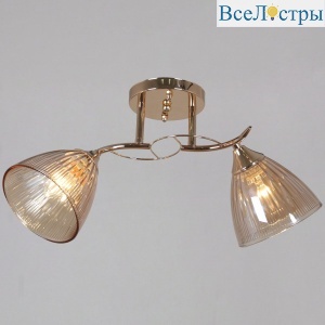Потолочный светильник Reluce 02560-0.3-02 FG