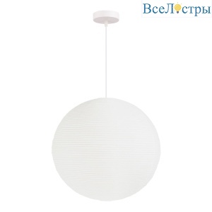 Подвесной светильник Evoluce Moon SLE6020-523-01
