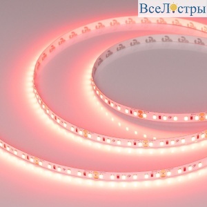 Светодиодная лента Arlight RT-A120-8mm 24V Scarlet (9.6 W/m, IP20, 2835, 5m) 043383