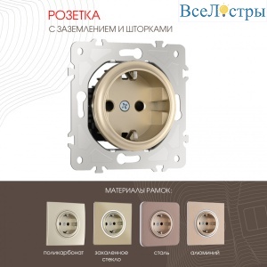 Розетка с заземлением и шторками Arte Milano 202.40-1.shampan