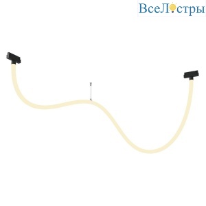 Трековый светодиодный светильник Maytoni Technical Tau TR101-2-50W3K-B