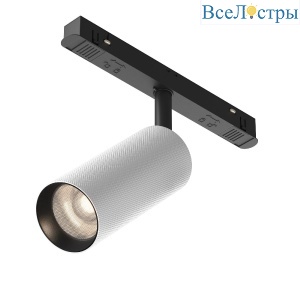 Трековый магнитный светильник Maytoni Artisan TR097-2-12W4K-M-BW