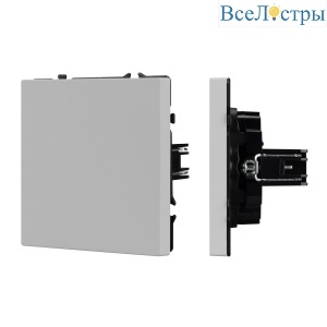 Заглушка поста Arlight SCT-NOBE-MGG-SFPL-IS (Никель) 061823