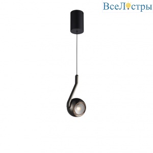 Подвесной светильник iLedex Orbit X-24619P BK