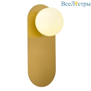 Настенный светильник Evoluce Tocco SLE1194-301-01