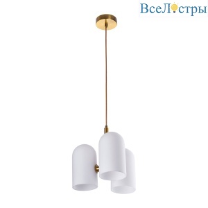 Подвесной светильник Arte Lamp Cassel A5454SP-3PB