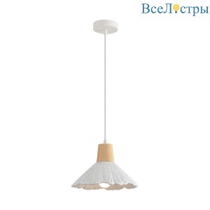 Подвесной светильник Lumion Suspentioni Eoliana 8352/1A