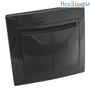 Выключатель 2 кл. скрытой установки 10А 250В IP20, черный (керамика) "Дельта" General 477307