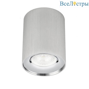Накладной светильник ЭРА OL1 GU10 SL/CH Б0041504