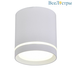 Накладной светильник Omnilux Capurso OML-102409-05