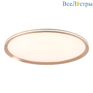 Потолочный светильник LED4U L3020-600 GD