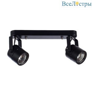 Спот Arte Lamp Lente A1310PL-2BK