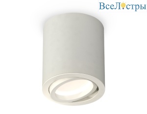 Потолочный светильник Ambrella Light Techno Spot XS7423020 (C7423, N7001)