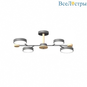 Люстра на штанге LED4U L3213-670 GR