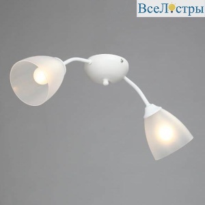 Потолочная люстра Vitaluce V3737-0/2PL