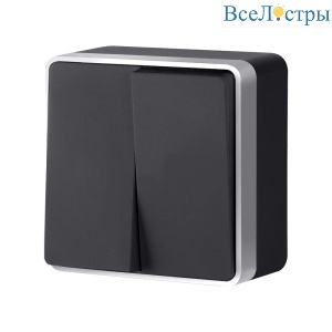 Выключатель двухклавишный Werkel Gallant (черный с серебром) W5020034 4690389164156 a050889