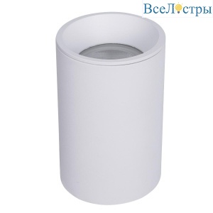Потолочный светильник Maytoni Technical Zoom C029CL-01-S-W