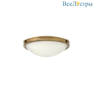 Потолочный светильник Hinkley Collier HK-COLLIER-F-M